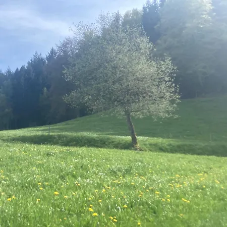 Haus Am Alten Berg ホームステイ トリベルク