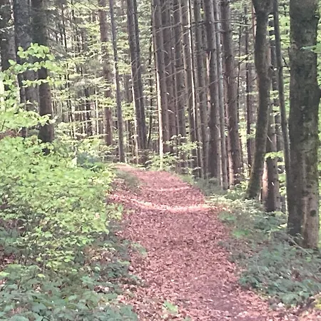 Haus Am Alten Berg ホームステイ *